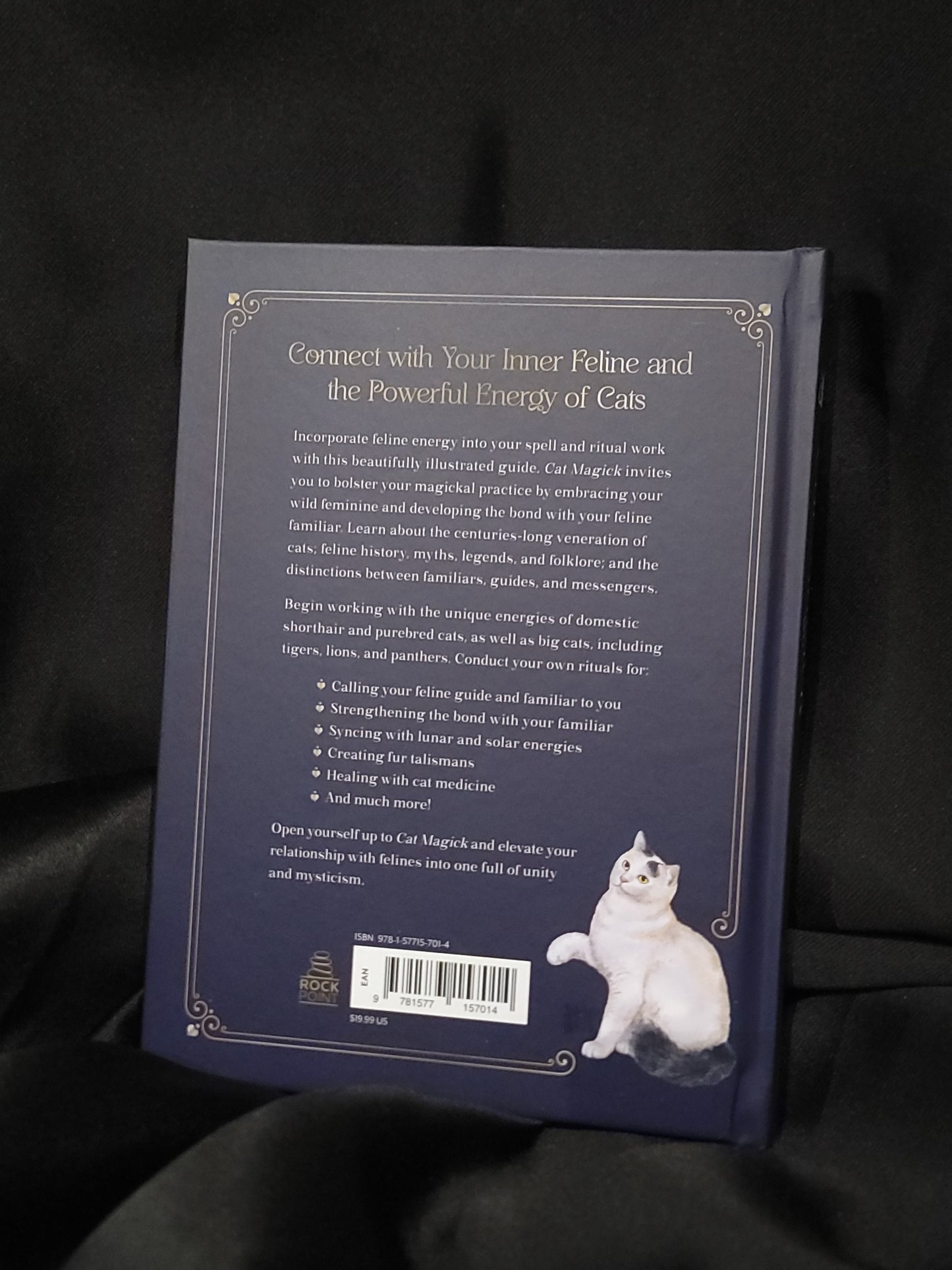 Cat Magick-Harness the Powers of Felines Book Witch, Witchcraft