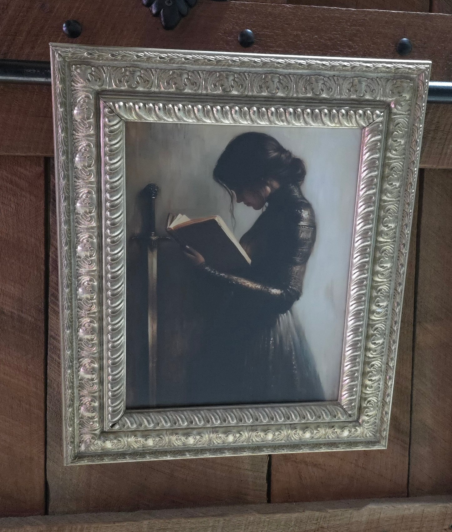 Medieval Female Knight Book Lover Custom Framed Print