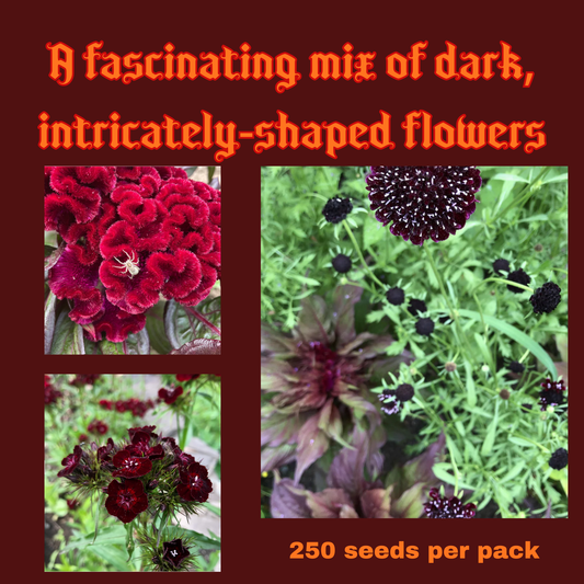 Goth Garden Seeds Pack