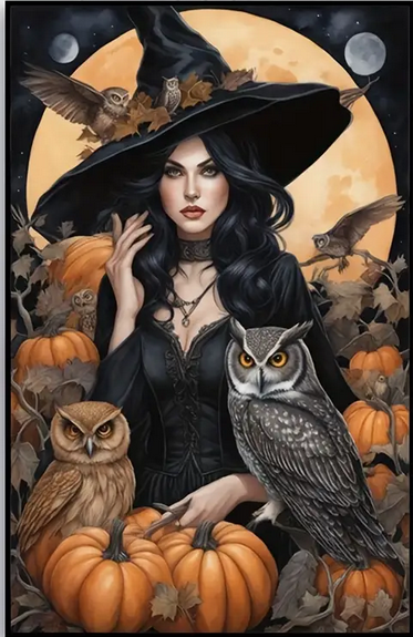 Vintage Witch and Owls Diamond Art Kit