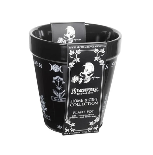 Witches Spell Garden Plant Pot