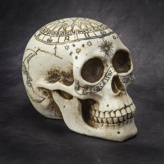 Celestial Astrology Fortune Skull Head Figurine