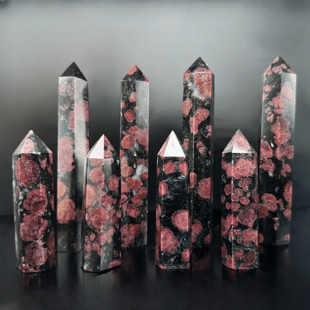 Garnet and Arfvedsonite Crystal Tower Crystal - Gothic & Alternative Gift - Haunted