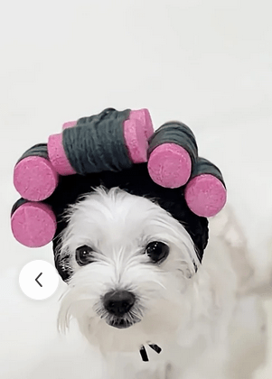 Hair Curlers Cat Pet Costume Costumes - Gothic & Alternative Gift - Haunted