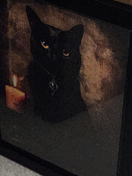 Witch's Familiar Black Cat Framed Print Halloween Gothic Victorian