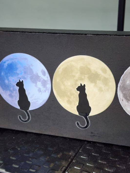 Moon Gazing Black Cats Celestial Witch Magic