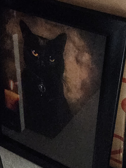 Witch's Familiar Black Cat Framed Print Halloween Gothic Victorian