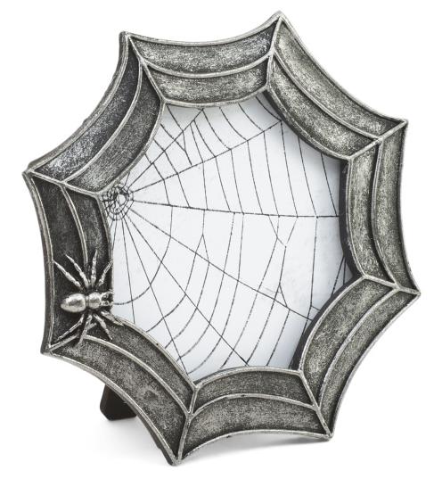 Spider-Web with spider spooky picture frame