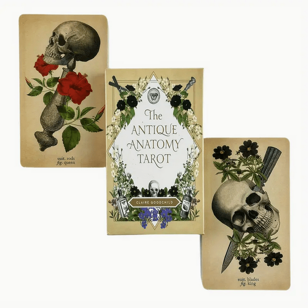 The Antique Anatomy Tarot Card Deck Witch Supplies - Gothic & Alternative Gift - Haunted