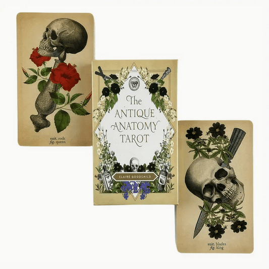 The Antique Anatomy Tarot Card Deck Witch Supplies - Gothic & Alternative Gift - Haunted