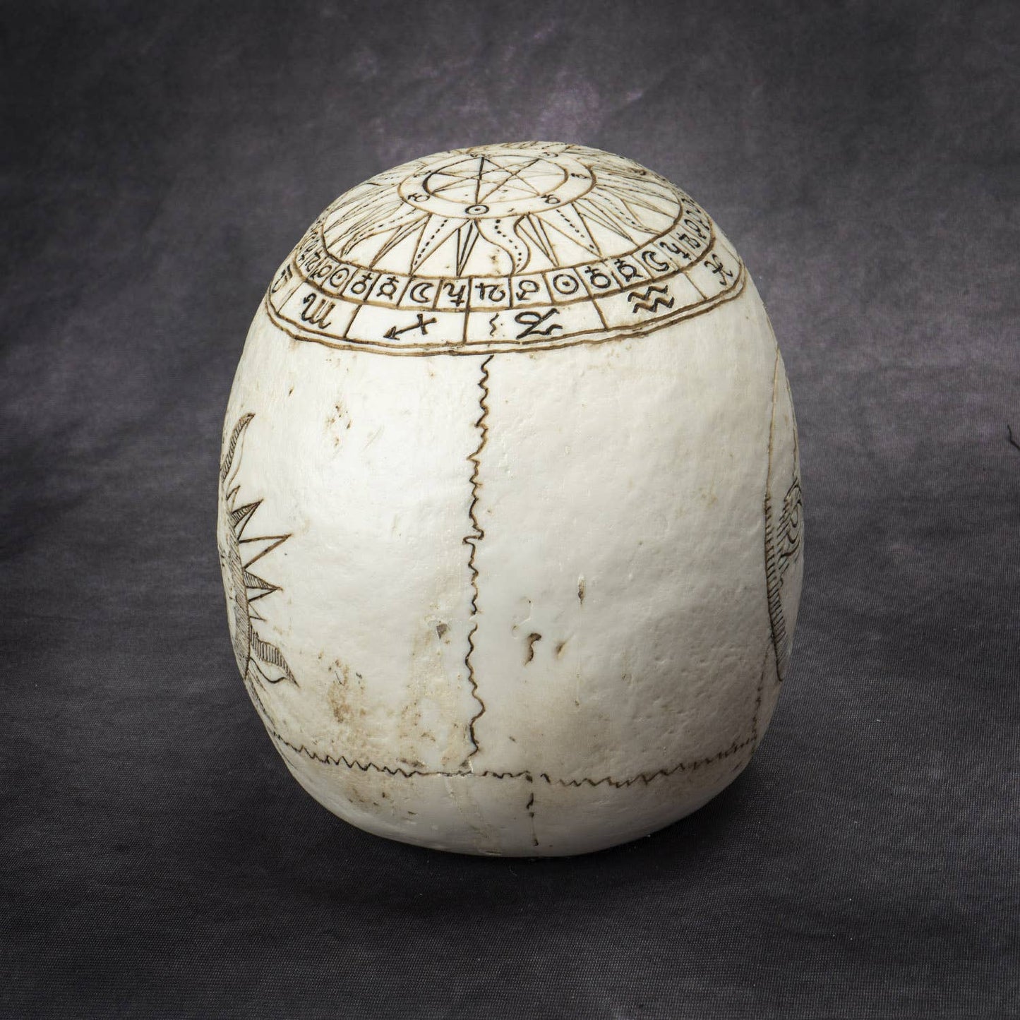 Celestial Astrology Fortune Skull Head Figurine