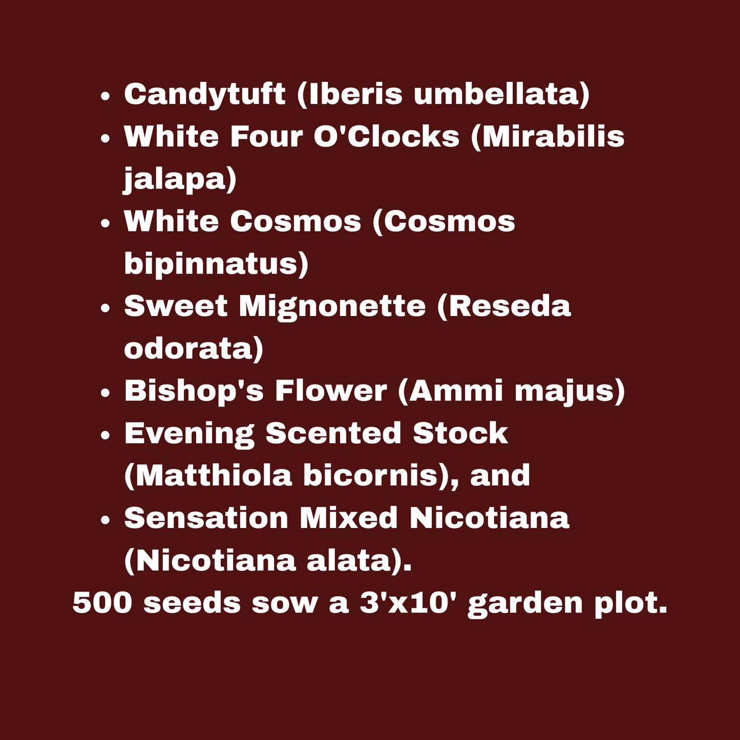 Midnight Garden Mix Seeds Pack