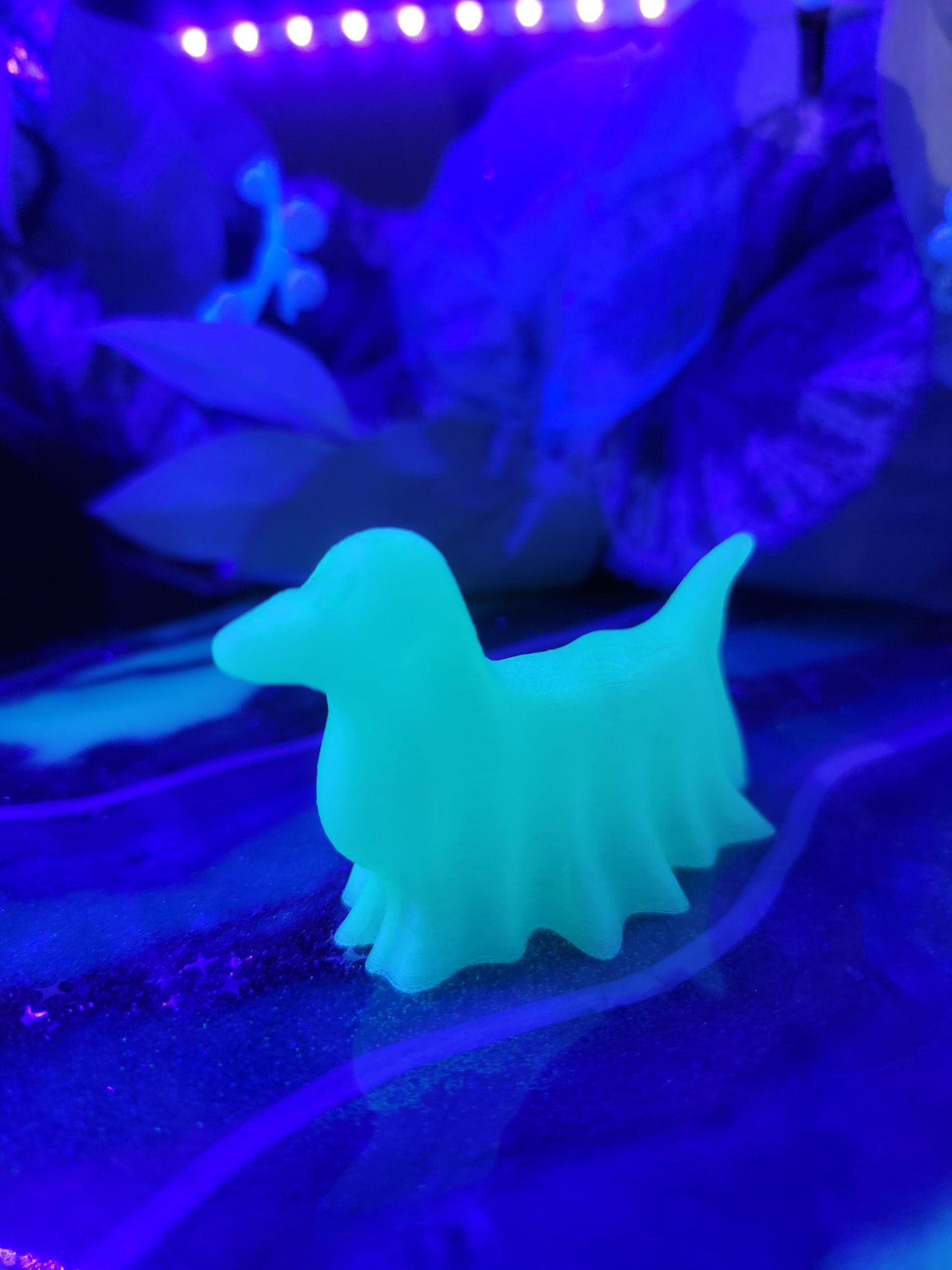 Glowing Ghost Dogs