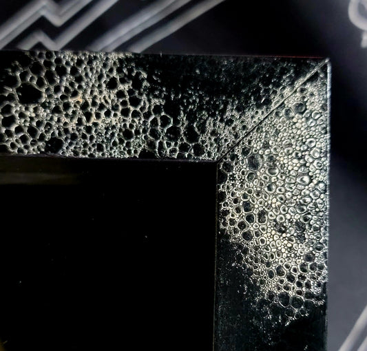 Framed Snake Skeleton Specimen