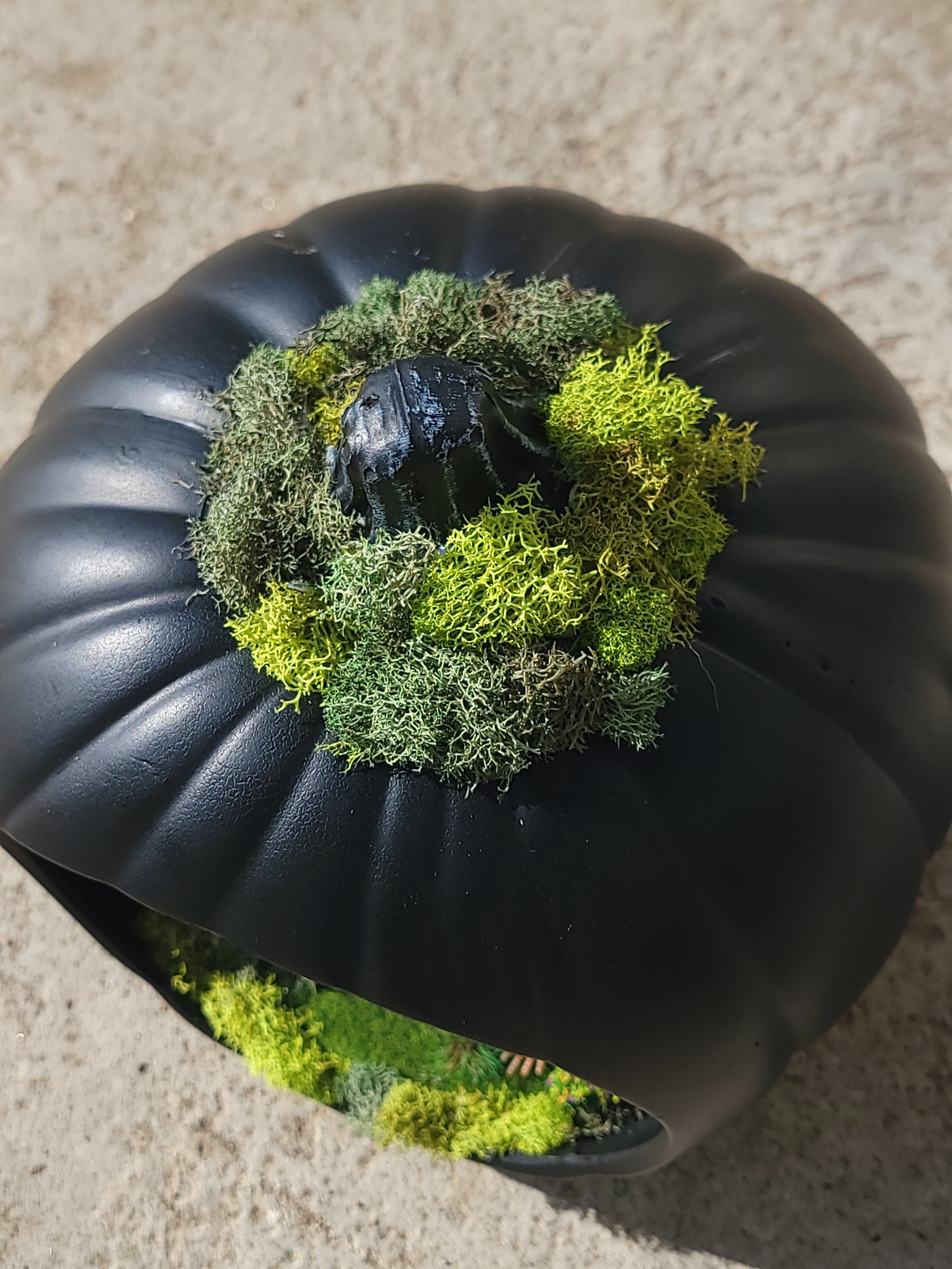 Pumpkin Graveyard terrarium Lantern