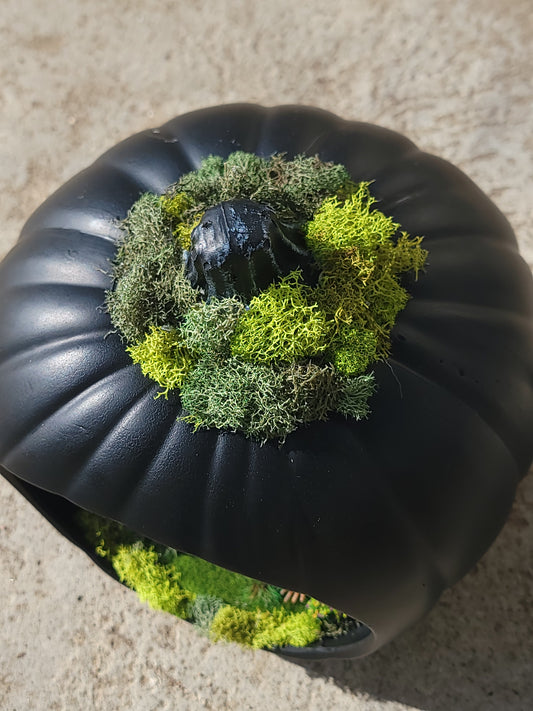 Pumpkin Graveyard terrarium Lantern