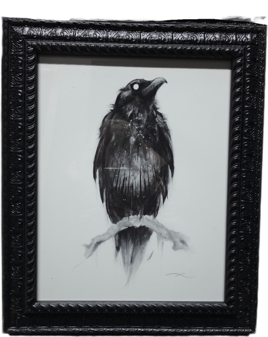 The Crone's Seer: 11x14 Framed Raven Print