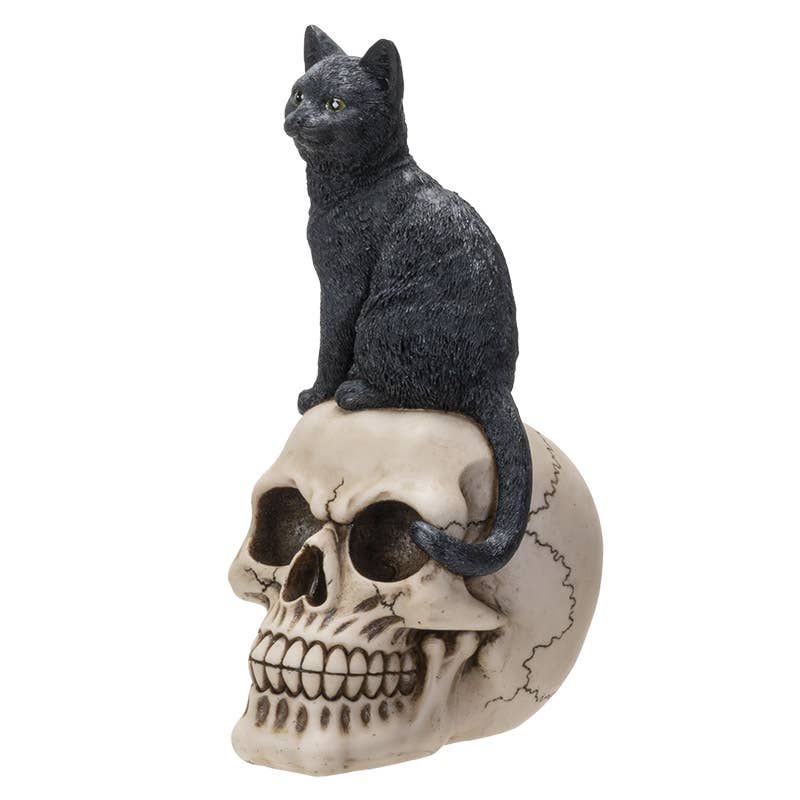 Black Cat on Skull Statue Figurine