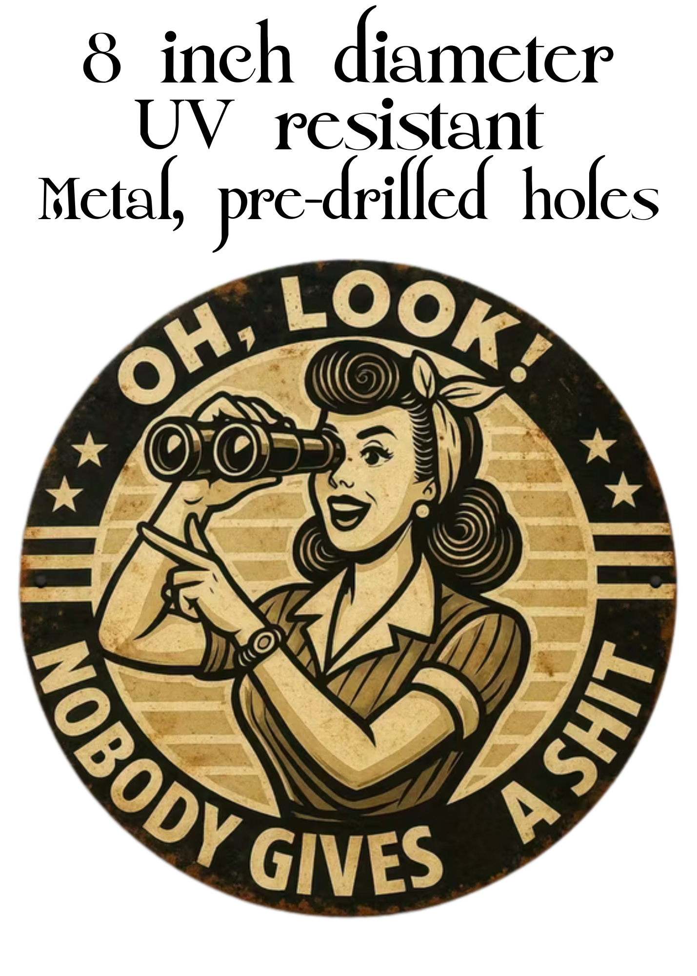 Nobody cares Pin up vintage Metal Wall Art Plaque