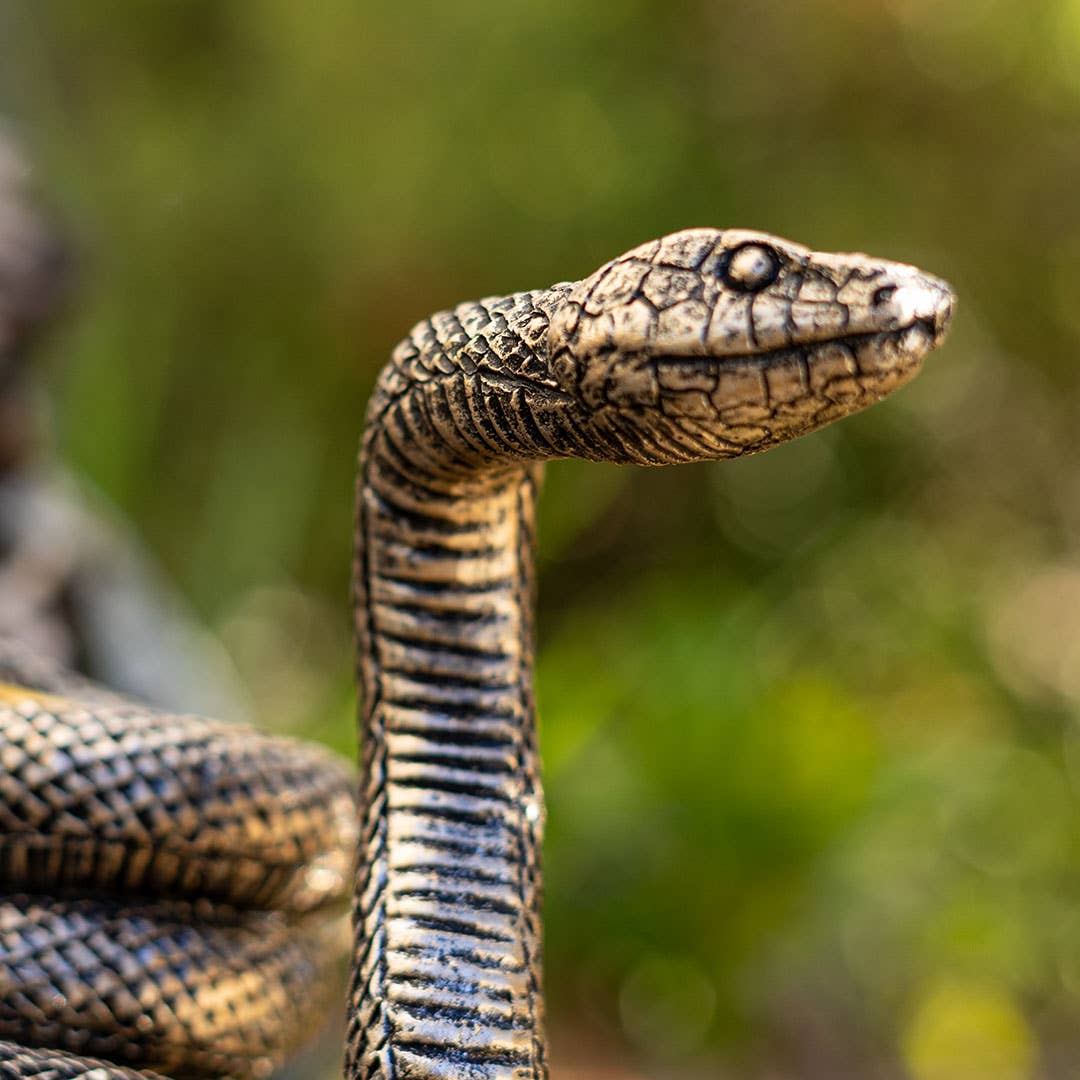 Detailed Snake Candle Holder