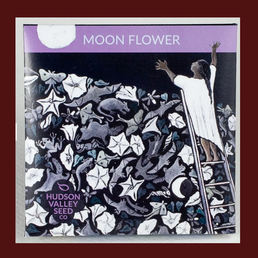 Moon Flower Seeds Pack