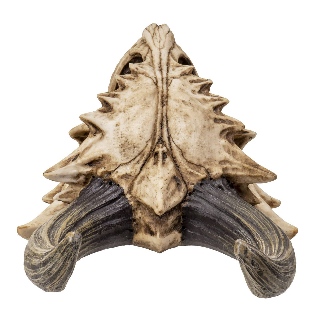 Wall-Mountable Dragon Skull – Cold Cast Resin Gothic Decor