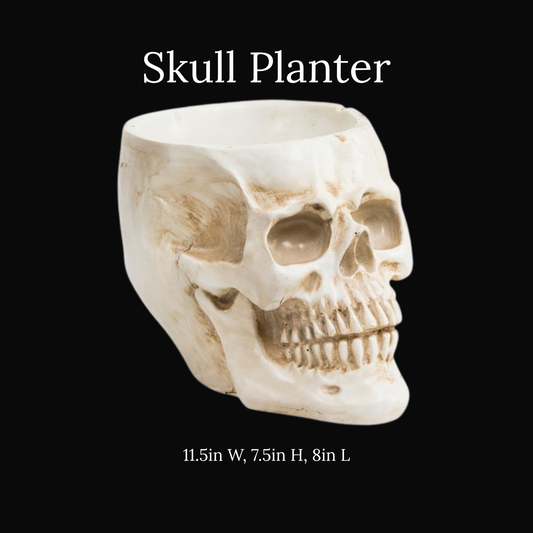 Large Bone Colored Skull Planter Vase Flower Pot