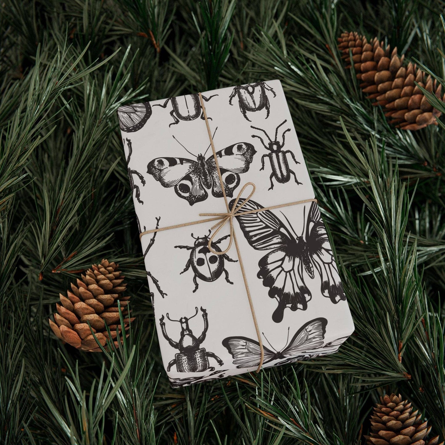 Insects, Bugs Specimen Study Gift Wrap 6 Foot Roll Wrapping Paper