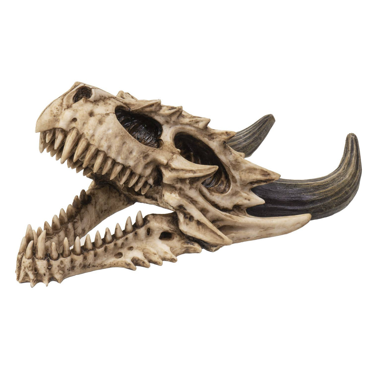Wall-Mountable Dragon Skull – Cold Cast Resin Gothic Decor
