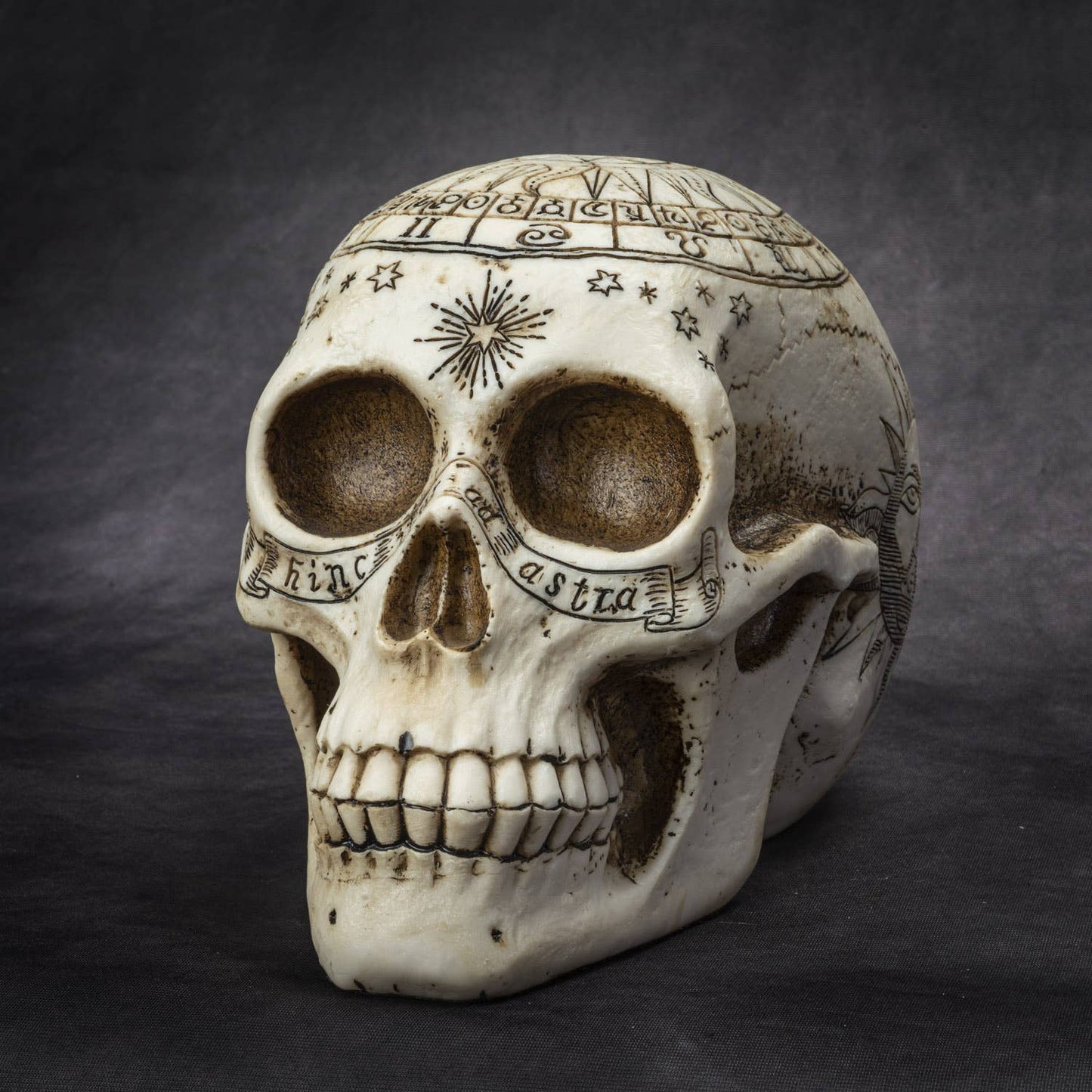 Celestial Astrology Fortune Skull Head Figurine