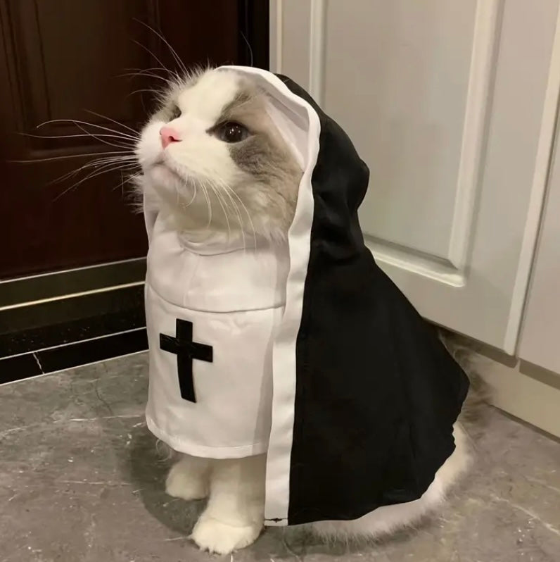 Creepy nun pet costume