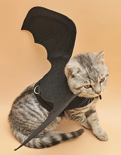 Black Bat wings Cat Pet Costume