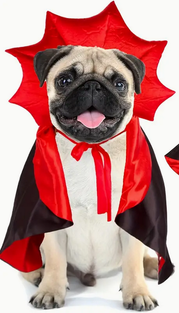 Vampire pets Costume cape