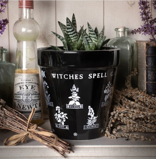 Witches Spell Garden Plant Pot
