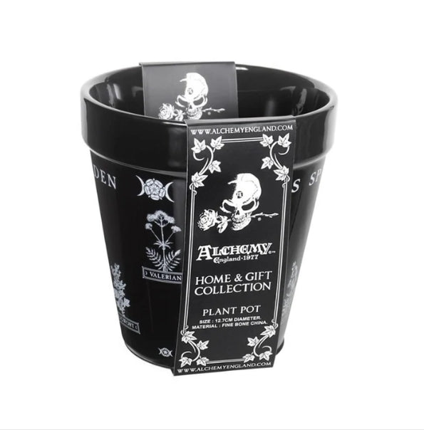 Witches Spell Garden Plant Pot