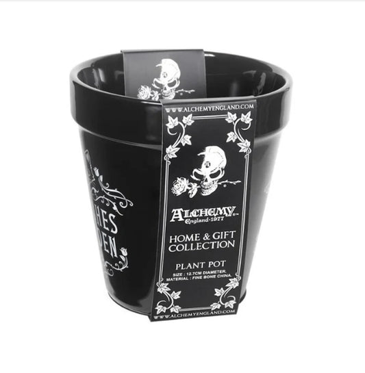 Witches Garden Magic Cat Garden Plant Pot