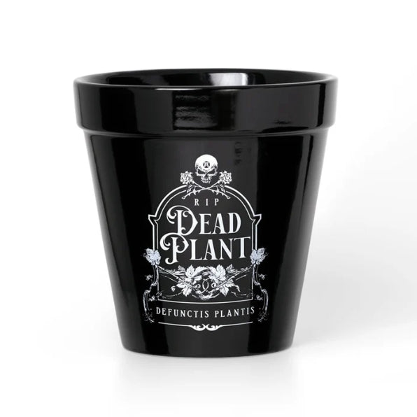 Dead Plant Thombstone Garden Plant Pot