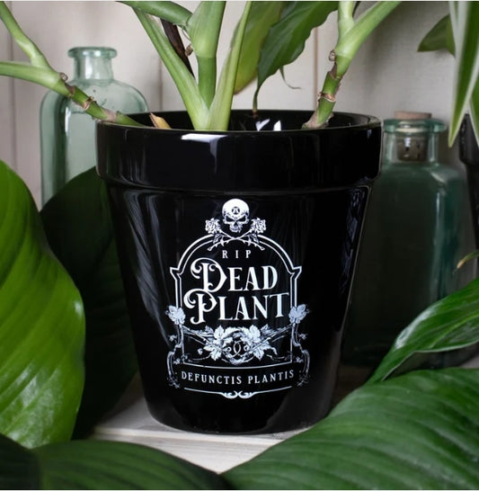 Dead Plant Thombstone Garden Plant Pot