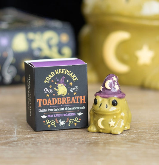 Mini Magic Toad Figurine Token Gifts Keepsake