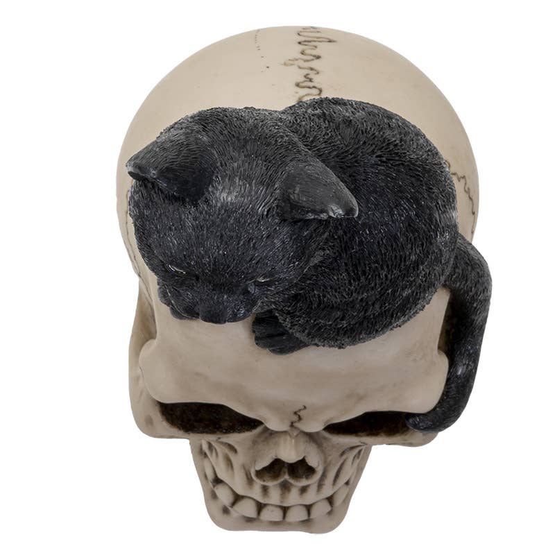 Black Cat on Skull Statue Figurine