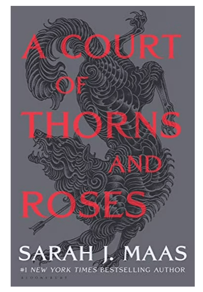 ACOTAR Special Edition Grey Sleeve (Hardcover) - Gothic & Alternative Gift - Haunted