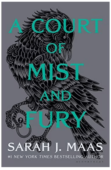 ACOTAR Special Edition Grey Sleeve (Hardcover) - Gothic & Alternative Gift - Haunted