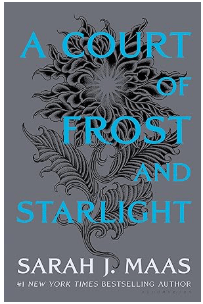 ACOTAR Special Edition Grey Sleeve (Hardcover) - Gothic & Alternative Gift - Haunted