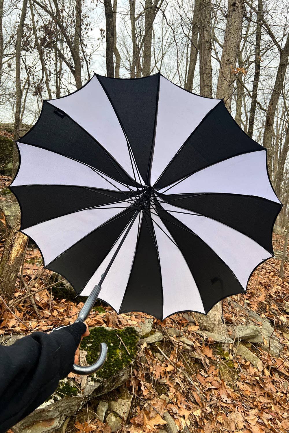 Batwing Pagoda Umbrella [BLACK/WHITE STRIPED] Accessories - Gothic & Alternative Gift - Haunted