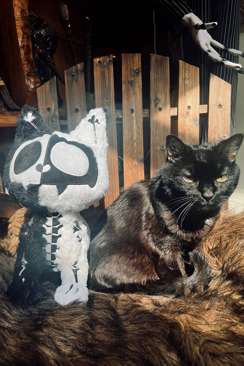 Black Cat Skeleton Splitzokitty Plush Toy Black and White Split Stuffed Animals - Gothic & Alternative Gift - Haunted