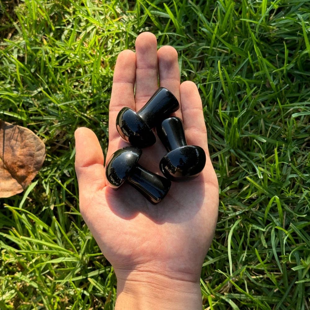 Black Onyx Mushroom Crystal - Gothic & Alternative Gift - Haunted