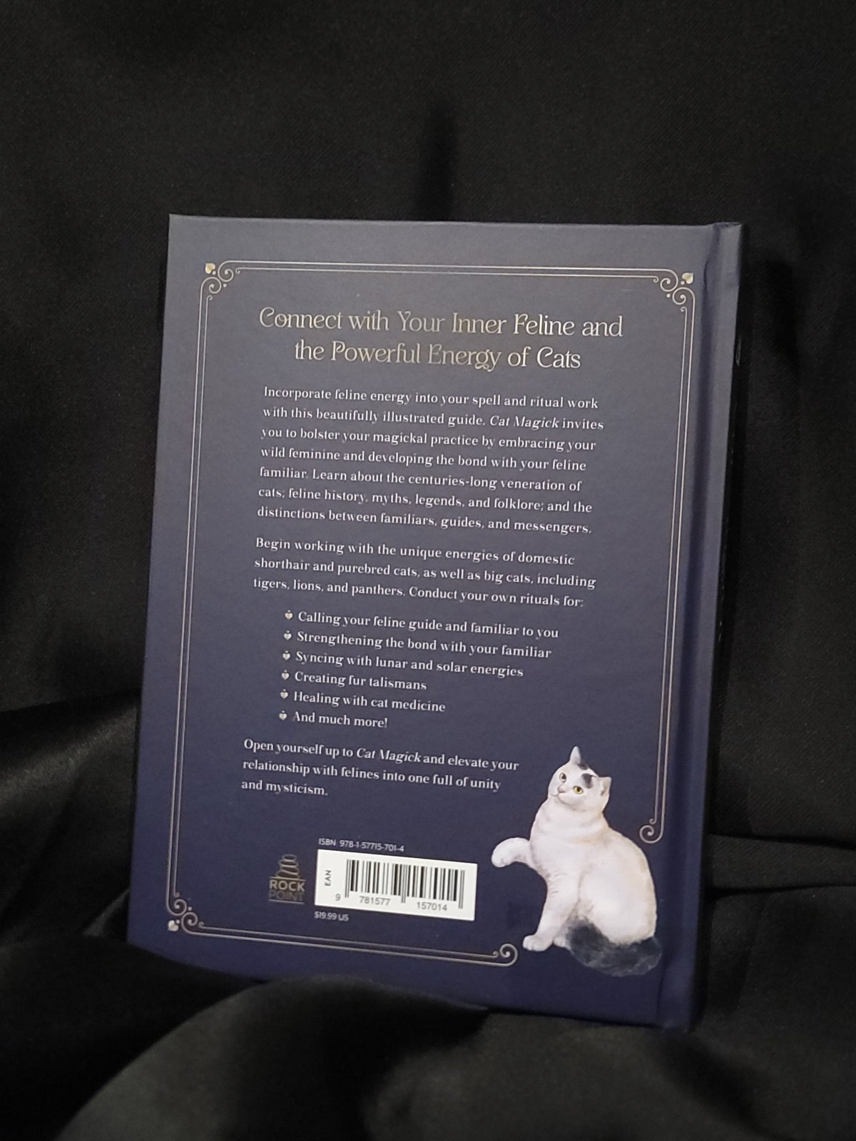 Cat Magick-Harness the Powers of Felines Book Witch, Witchcraft Books - Gothic & Alternative Gift - Haunted