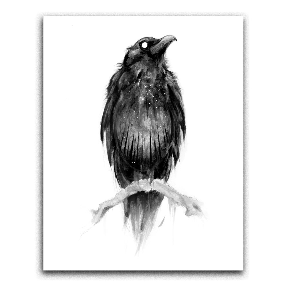 The Crone's Seer: 11x14 Framed print