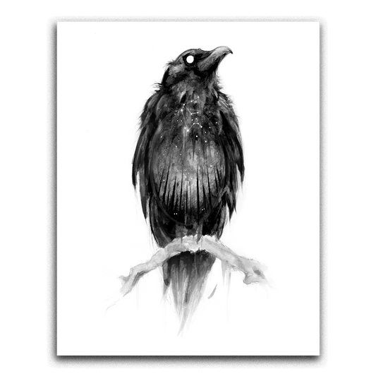 The Crone's Seer: 11x14 Framed Raven Print