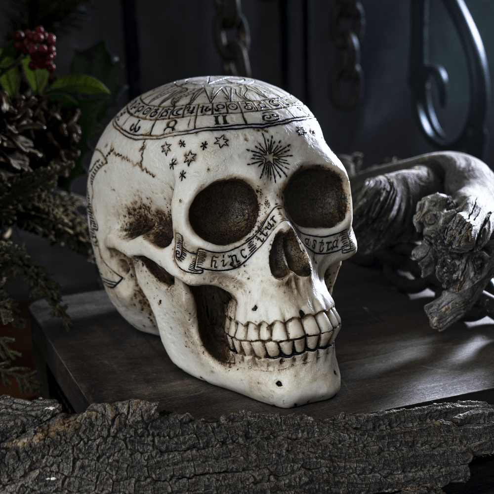 Celestial Astrology Fortune Skull Head Figurine Figurines - Gothic & Alternative Gift - Haunted